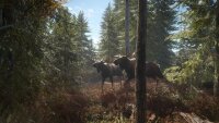 The Hunter - Call of the Wild / Xbox One * Guter Zustand