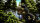 ARK: Survival Evolved / Playstation 4 / PS5 *TOP Zustand