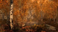 The Elder Scrolls V: Skyrim (Special Edition) / Xbox One - Top Zustand