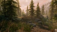 The Elder Scrolls V: Skyrim (Special Edition) / Xbox One - Top Zustand