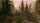 The Elder Scrolls V: Skyrim (Special Edition) / Xbox One - Top Zustand