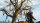 The Witcher 3: Wild Hunt (2. Auflage) Playstation 4 / PS5 *TOP Zustand