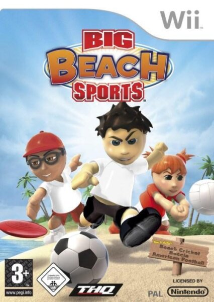 Big Beach Sports / Nintendo Wii / Wii U + Handbuch - Top Zustand