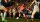 EA Sports FC 24 / Playstation 4 / PS5 *TOP Zustand
