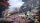 Avatar - Frontiers of Pandora / XBOX ONE * Top Zustand