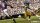 Madden NFL 21 / Playstation 4 / PS5 *TOP Zustand
