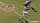 Madden NFL 21 / Playstation 4 / PS5 *TOP Zustand