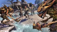 The Elder Scrolls Online: Premium Edition / Playstation 4 / PS5 *TOP Zustand