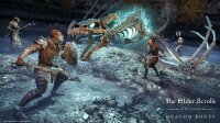 The Elder Scrolls Online: Premium Edition / Playstation 4 / PS5 *TOP Zustand