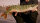 Fishing Sim World / Playstation 4 / PS4 ohne Handbuch * Top Zustand