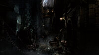 Bloodborne / Playstation 4 / PS5 *TOP Zustand