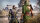 Dynasty Warriors 9 / Playstation 4 / PS5 *TOP Zustand