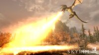 The Elder Scrolls V: Skyrim *Nintendo Switch* Top Zustand