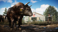 Far Cry 5 / Xbox One - Top Zustand