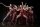 Suspiria (Mediabook, 2 Blu-rays + 1 DVD) Top Zustand