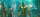 Aquaman von Wan, James | DVD