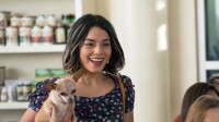 Dog Days - Herz, Hund, Happy End! / DVD