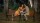 Dog Days - Herz, Hund, Happy End! / DVD