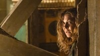 Fear The Walking Dead - Staffel 7 / DVD ( 4 DVDs )