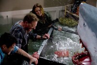 SHARKNADO 1 - Genug gesagt! - 2-Disc Mediabook - Cover A (Blu-ray + DVD)Brandneu