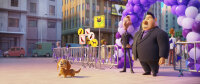 Paw Patrol: Der Kinofilm / DVD