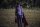 Brightburn: Son of Darkness / DVD - Top Zustand