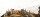 Willkommen im Wunder Park / DVD