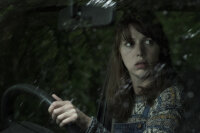 The Hole in the Ground / DVD