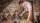 Der goldene Handschuh / BluRay * Top Zustand