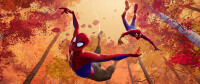 Spider-Man - A New Universe / Blu-ray