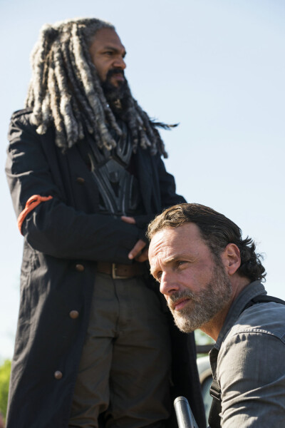 The Walking Dead - Die komplette achte Staffel / Uncut