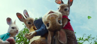 Peter Hase / DVD