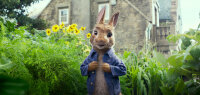 Peter Hase / DVD