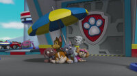 Paw Patrol - Sea Patrol / DVD