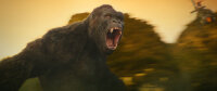 Kong: Skull Island / DVD
