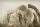 Kong: Skull Island / DVD