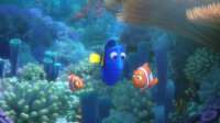 Findet Dorie / DVD