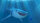 Findet Dorie / DVD