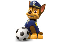 Paw Patrol - Das Spiel kann losgehen / DVD