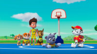Paw Patrol - Das Spiel kann losgehen / DVD