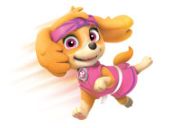 Paw Patrol - Das Spiel kann losgehen / DVD