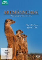 Erdmännchen - Wächter der Wüste im Team -...