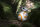 Star Wars - Das Erwachen der Macht / DVD