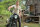 Jurassic World / DVD - Top Zustand