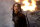 Die Tribute von Panem - Mockingjay 1 / Fan Edition / Blu-Ray - Top Zustand