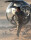 Oblivion / DVD