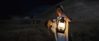 Annabelle 2 von David F. Sandberg / DVD