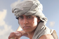 Life of Pi - Schiffbruch mit Tiger / DVD