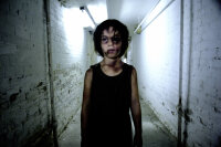 The Echo / DVD *Guter Zustand