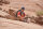 127 Hours / DVD  ( inkl. Digital Copy ) - Top Zustand